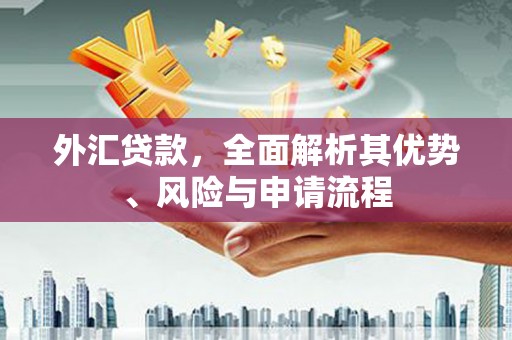 梅列外汇贷款，全面解析其优势、风险与申请流程