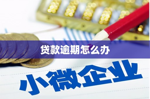 梅列贷款逾期怎么办