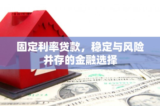 梅列固定利率贷款，稳定与风险并存的金融选择
