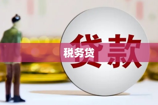 梅列税务贷