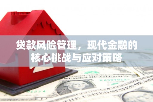 梅列贷款风险管理，现代金融的核心挑战与应对策略