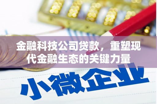 梅列金融科技公司贷款，重塑现代金融生态的关键力量