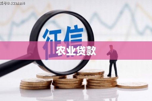 梅列农业贷款