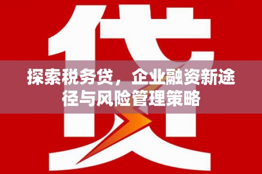 梅列探索税务贷，企业融资新途径与风险管理策略