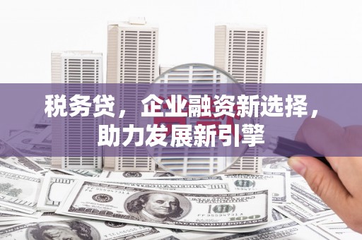 梅列税务贷，企业融资新选择，助力发展新引擎
