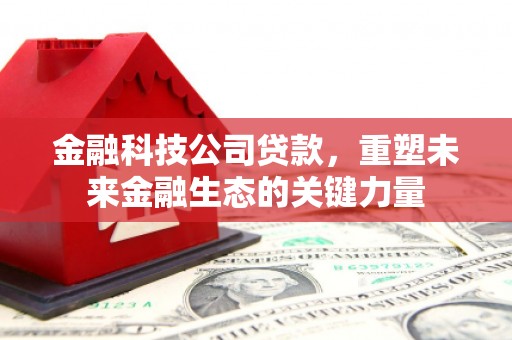 梅列金融科技公司贷款，重塑未来金融生态的关键力量