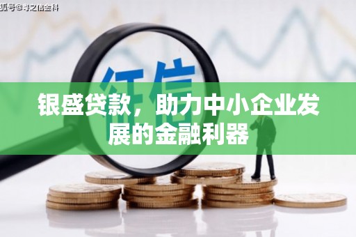 梅列银盛贷款，助力中小企业发展的金融利器