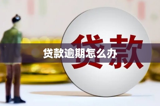 梅列贷款逾期怎么办