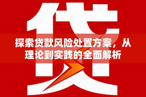 梅列探索贷款风险处置方案，从理论到实践的全面解析