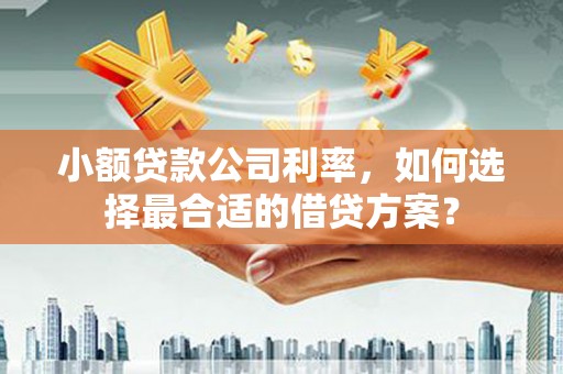 梅列小额贷款公司利率，如何选择最合适的借贷方案？