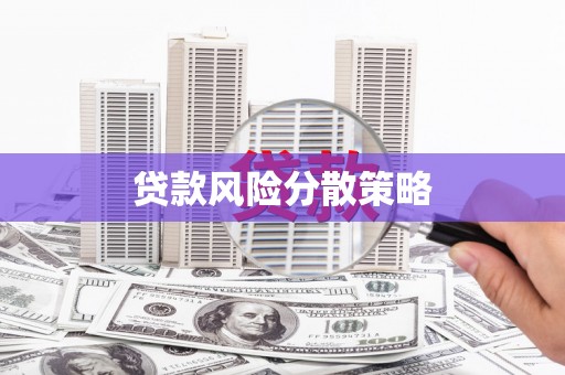 梅列贷款风险分散策略