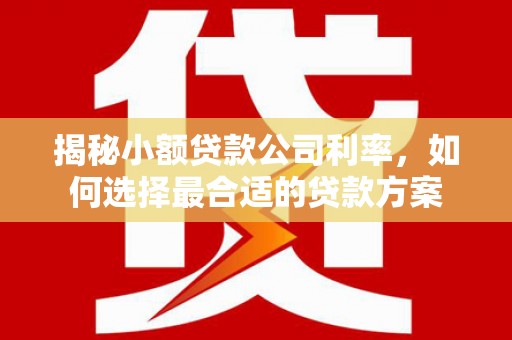 梅列揭秘小额贷款公司利率，如何选择最合适的贷款方案