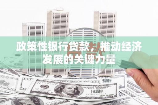 梅列政策性银行贷款，推动经济发展的关键力量