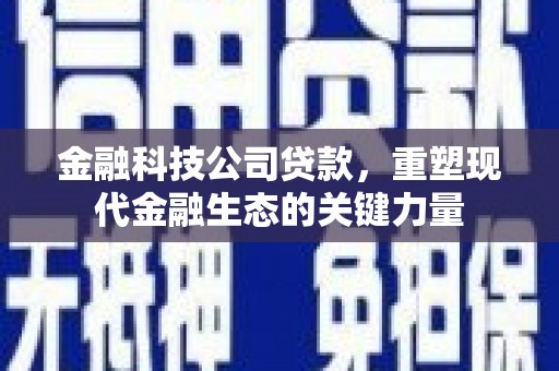 梅列金融科技公司贷款，重塑现代金融生态的关键力量