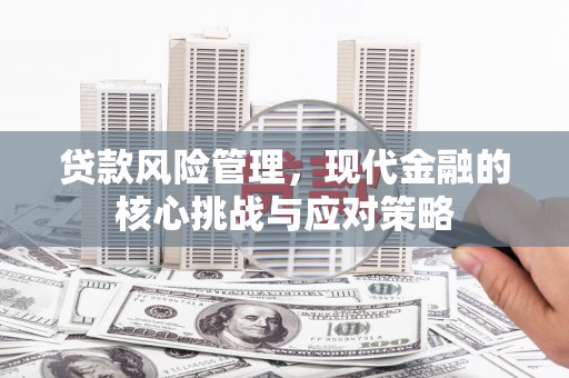 梅列贷款风险管理，现代金融的核心挑战与应对策略