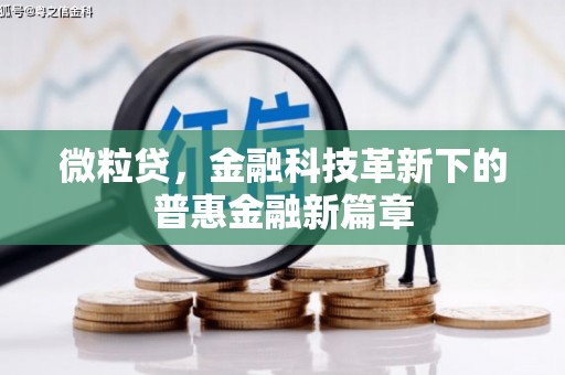 梅列微粒贷，金融科技革新下的普惠金融新篇章
