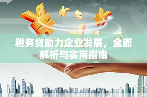 梅列税务贷助力企业发展，全面解析与实用指南