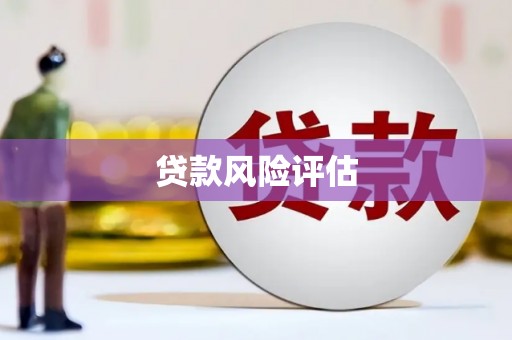梅列贷款风险评估