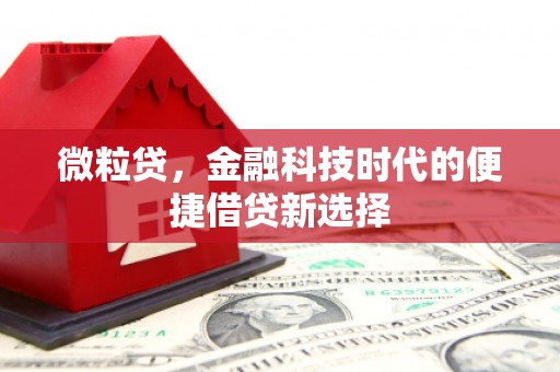 梅列微粒贷，金融科技时代的便捷借贷新选择