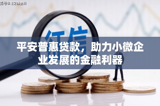 梅列平安普惠贷款，助力小微企业发展的金融利器
