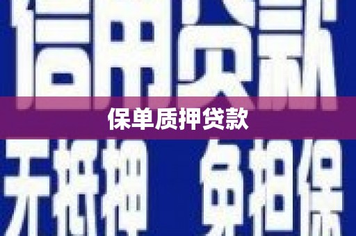 梅列保单质押贷款