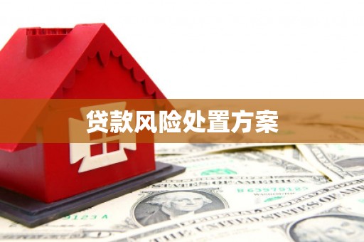 梅列贷款风险处置方案