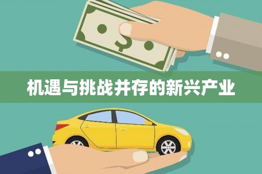 梅列机遇与挑战并存的新兴产业