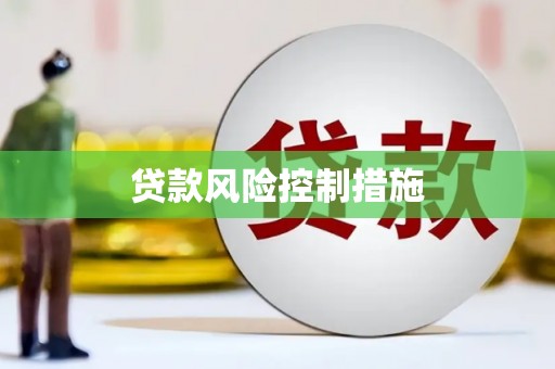 梅列贷款风险控制措施