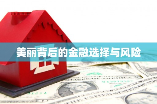 梅列美丽背后的金融选择与风险