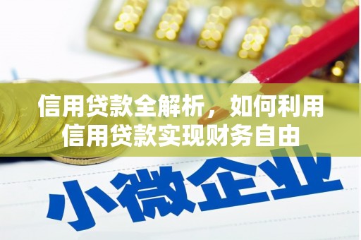 梅列信用贷款全解析，如何利用信用贷款实现财务自由